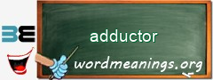 WordMeaning blackboard for adductor